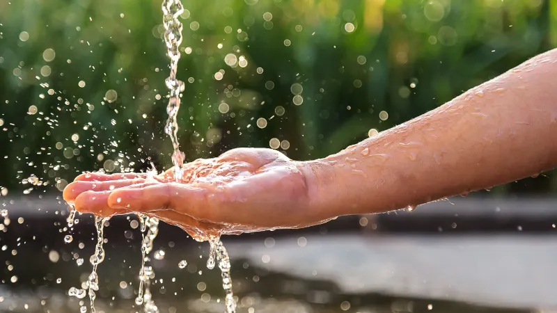 ist regenwasser sauber hilfreiche informationen