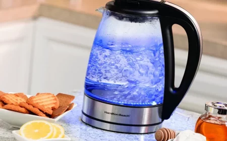 kueche geraete wasserkocher reinigen mit hausmitteln informationen