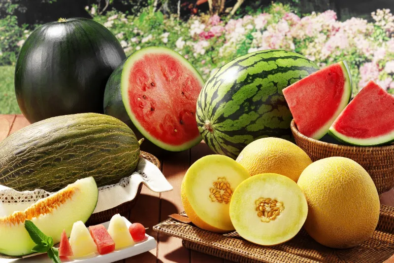 leckere fruechte sommer wie erkenne ich ob melonen reif sind infos tipps