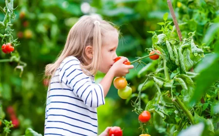 maedchen mit tomaten im garten