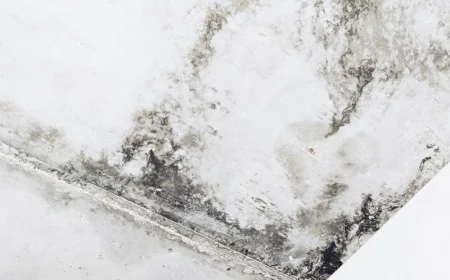 olena shmahalo kpk djuej5u unsplash