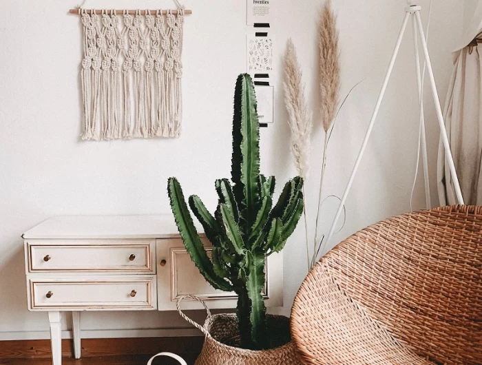 pampasgras deko vase neben kaktus