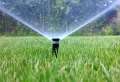 Rasen vertrocknet trotz Gießen: Welche sind die Ursachen und wie können wir das Gras retten?