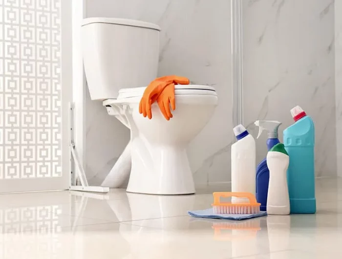 reinigungsmittel bürste und handschuhe für toilettenreinigung