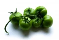 Grüne Tomaten essen - ja oder nein? Alles rund um die Giftigkeit der unreifen Früchte