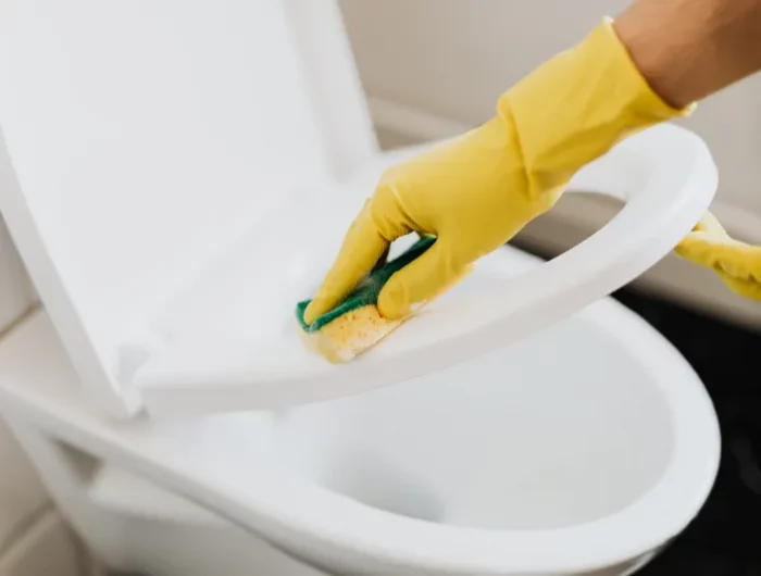 toilette reinigen reinigungsmittel handschuhe schwamm