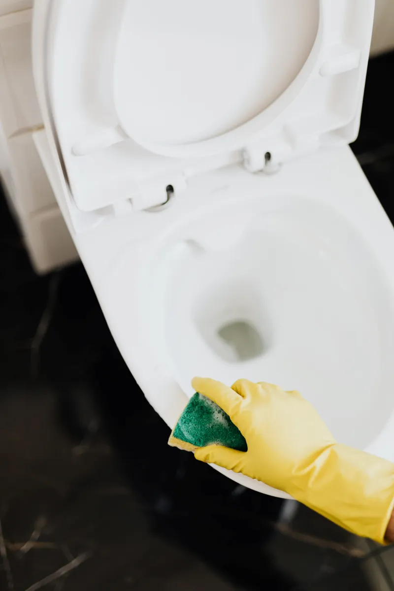 toilettenrand putzen schnell mit natron oder backpulver