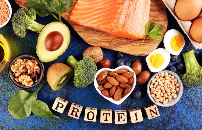 was sind die proteine und was macht sie mit ins