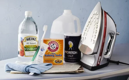 bügeleisen entkalken mit hausmitteln natron essig zahnbürste