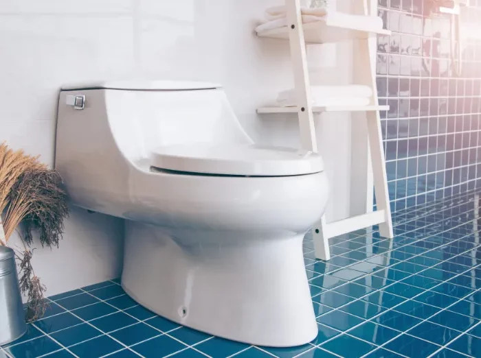 eine gereinigte toilette die wieider sauber aussieht.jfif