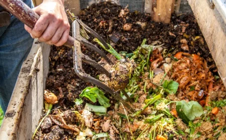 garten pflege was gehoert in den kompost nicht tipps