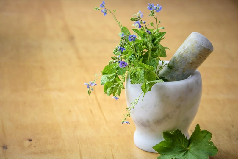 gesunde gesichtsfarbe hausmittel kaeutrer und seine wirkungen