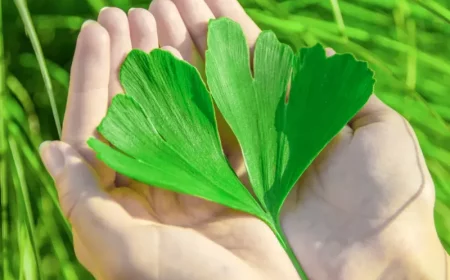 ginkgo wirkung auf die haut und die haare