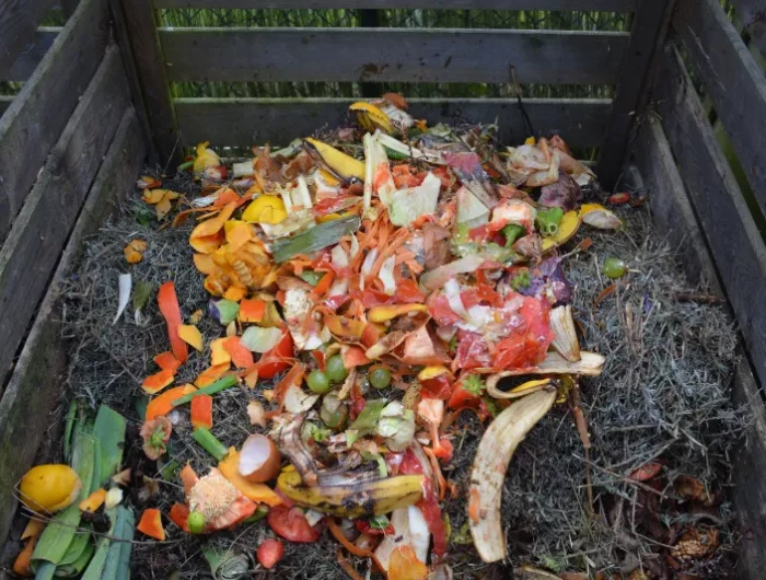 grosser komposter was darf nicht auf dem kompost hilfreiche informationen