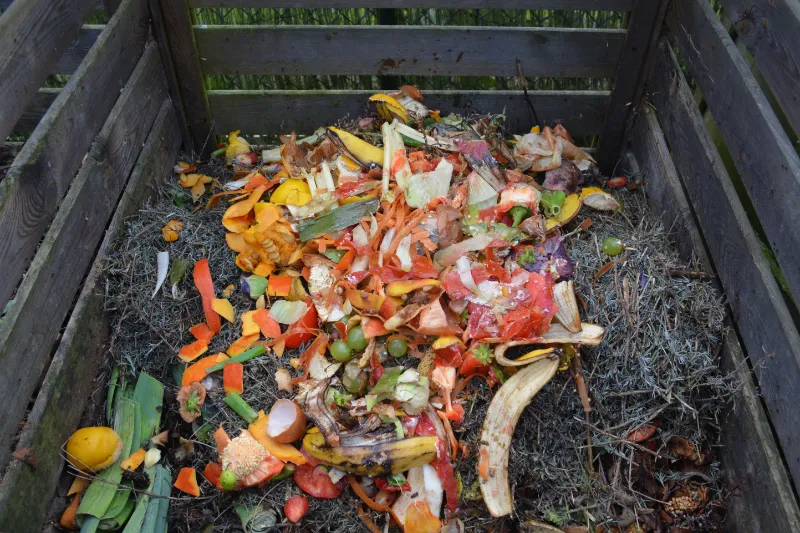 grosser komposter was darf nicht auf dem kompost hilfreiche informationen