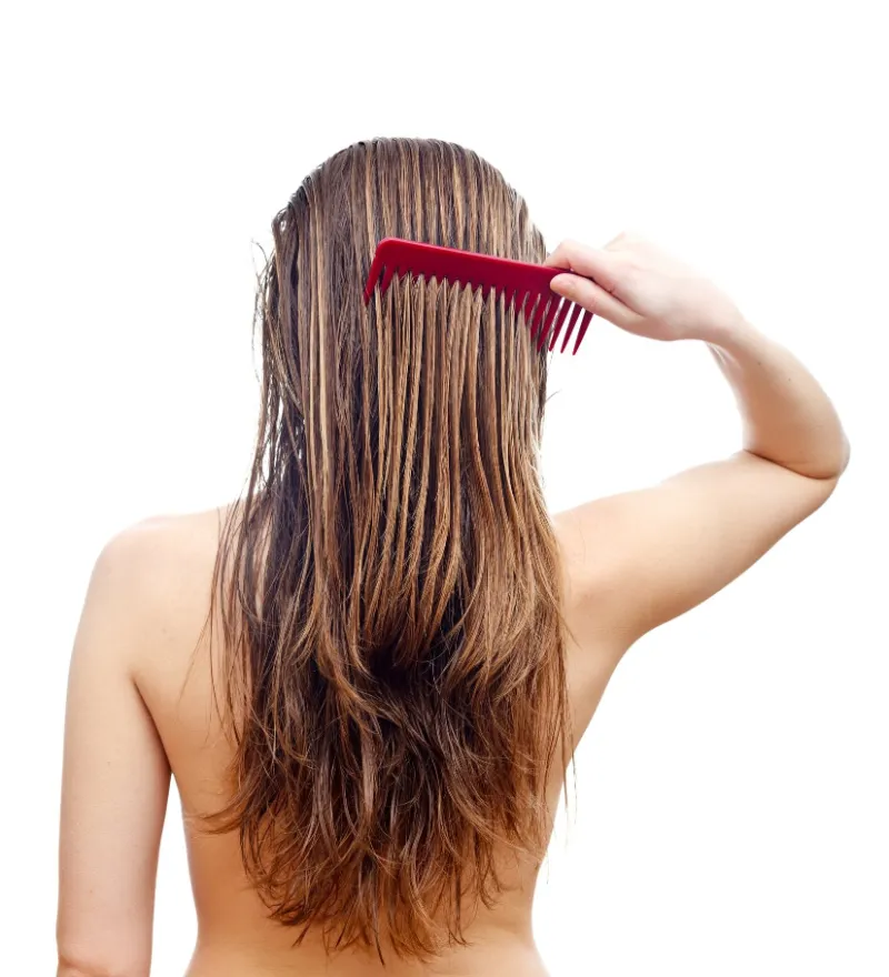 haircare tipps nasse haare nicht kaemmen infos