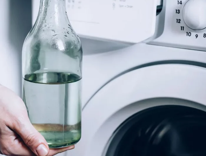 hausmitteln waschmaschine reinigen essig und natron infos