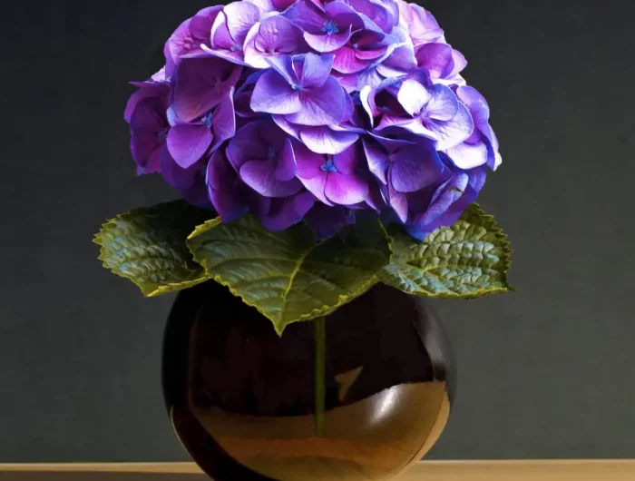 hortensie in der vase im zimmer