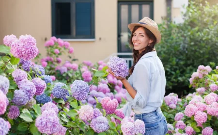 hortnesien mit gaertnerin die richtige pflege