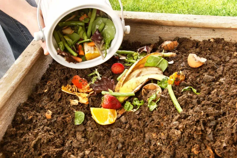 infos ueber richtig kompostieren was gehoert nicht im kompost