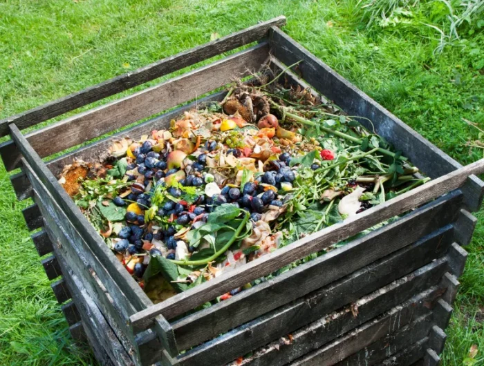 komposter aus holz was darf in den kompost nicht rein hilfreiche infos und tipps