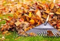 Gartengeräte im Herbst reinigen: Die Geheimnisse der Vorbereitung der Gartengeräte für den Winter 2022