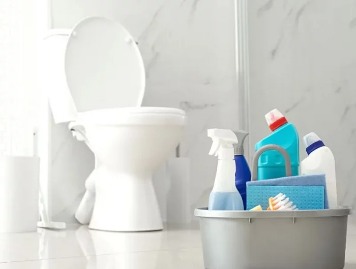 mit welchen mitteln toilette effektiv reinigen