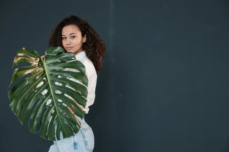 monstera braune flecken krankheiten frau mit monstera blatt