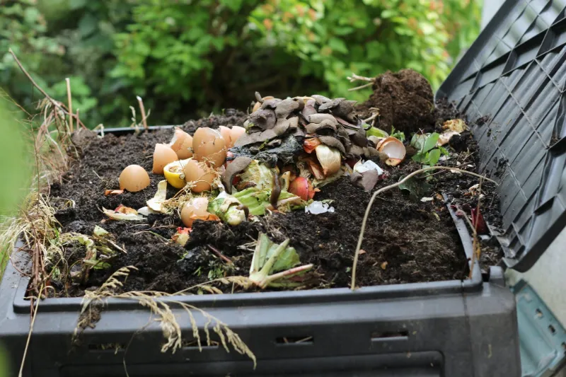 pflege garten was sollte man nie kompostieren