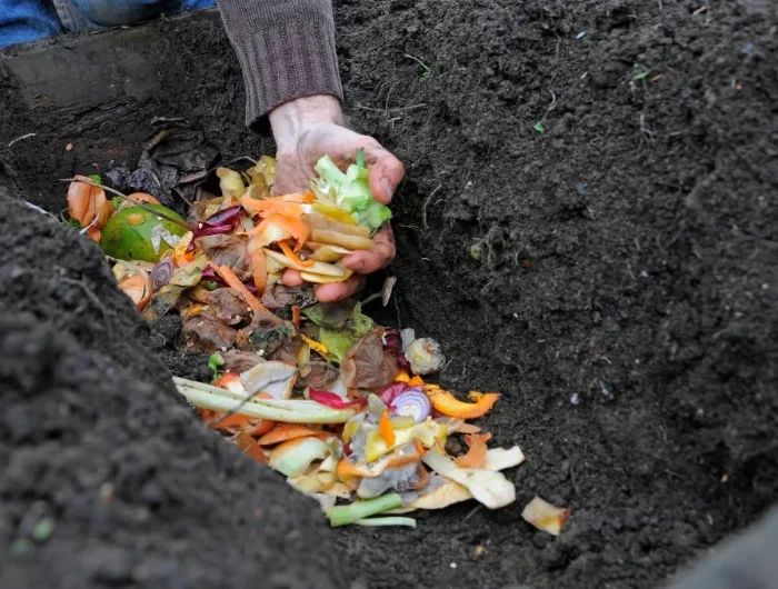 richtig kompostieren was gehoert nicht im kompost