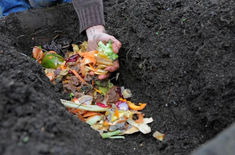 richtig kompostieren was gehoert nicht im kompost