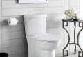 Urinstein entfernen - So wird die Toilette richtig sauber