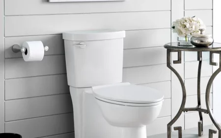 saubere toilette anleitung kalk entfernen mit hausmitteln