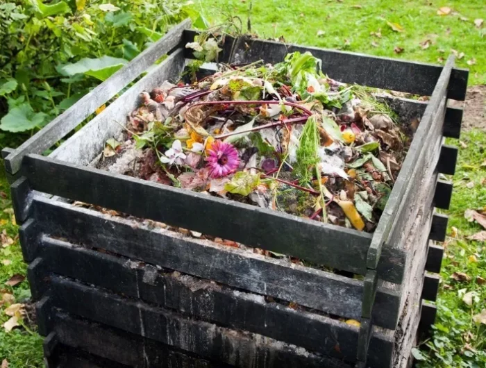 tipps was kommt auf den kompost und was nicht hilfreiche infos