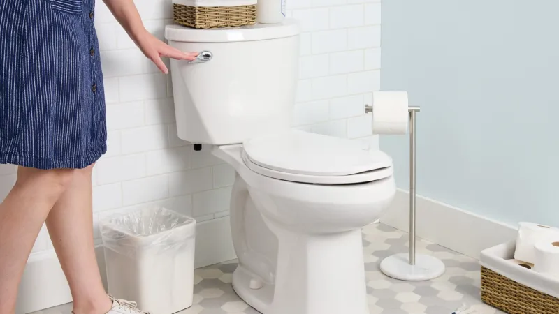 toilette reinigen ablagerungen entfernen mit hausmitteln