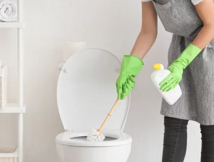 toilette sauber bekommen mit hausmitteln toilettenrand