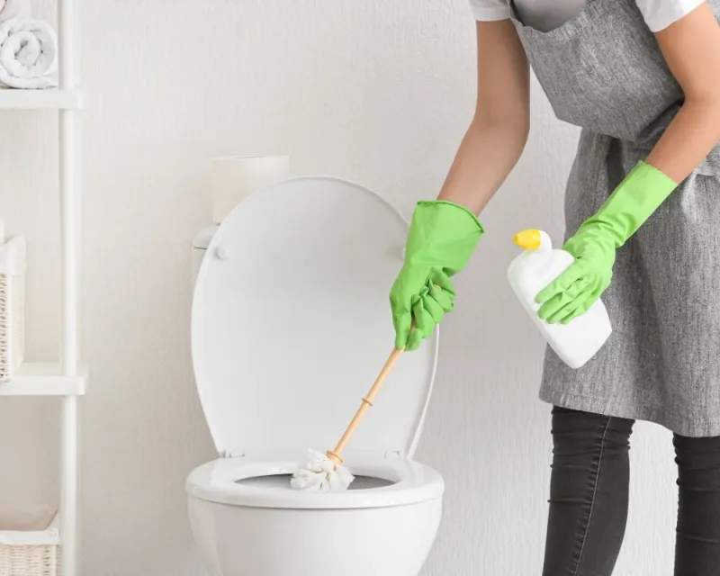 toilette sauber bekommen mit hausmitteln toilettenrand