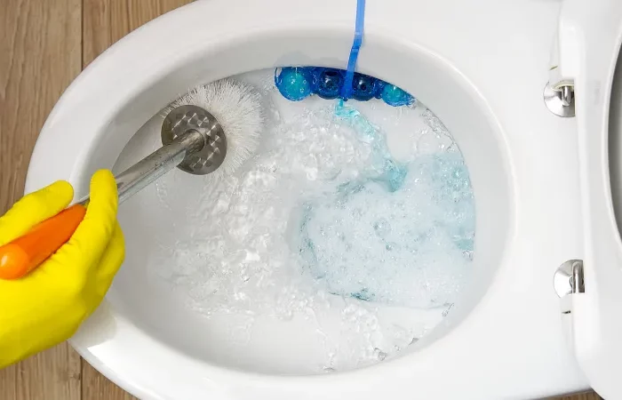 toilettenrand reinigen starken urinstein entfernen tricks