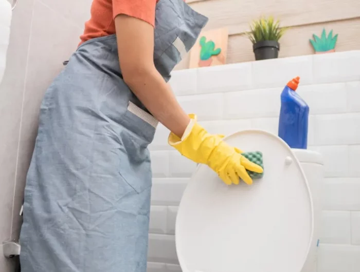 urinstein entfernen mit hausmitteln saubere toilette