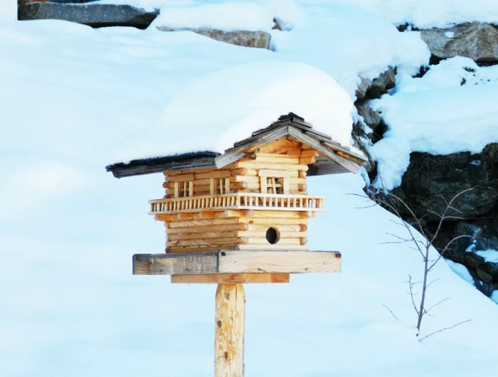 wann macht man vogelhaeuser sauber nistkasten aus holz winter