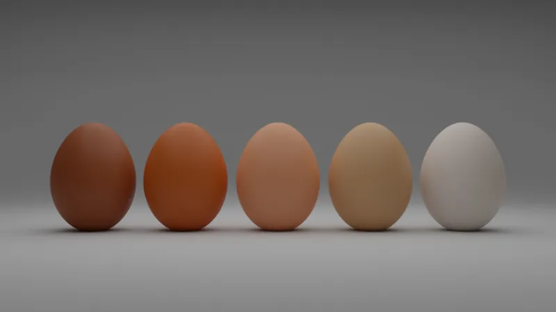 warum gibt es weisse und braune eier hilfreiche infos