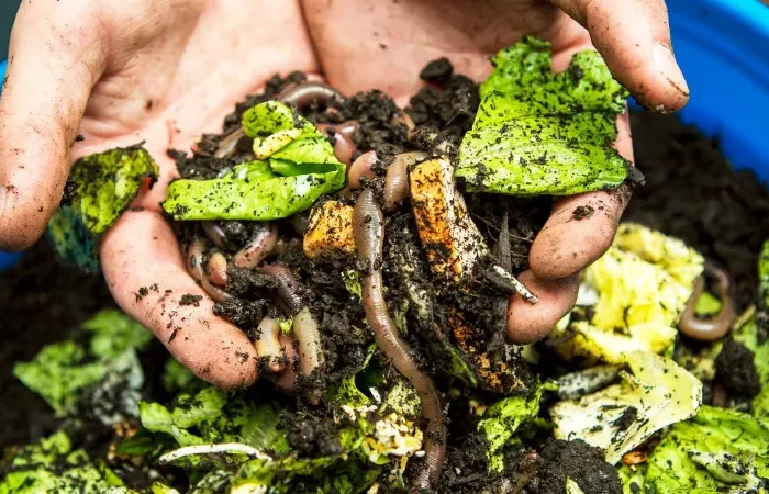 was darf man alles nicht auf dem kompost legen