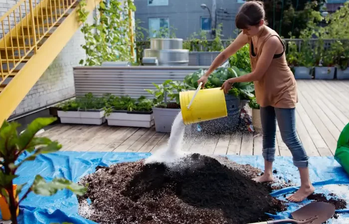 was ist der beste kompostbeschleuniger eigenen kompostbeschleuniger selber machen frau giesst kompostbeschleuniger pulver auf erde