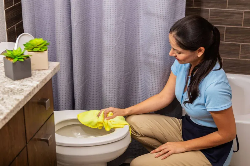 wasserstein entfernen toilette und kalk aus der toilette entfernen