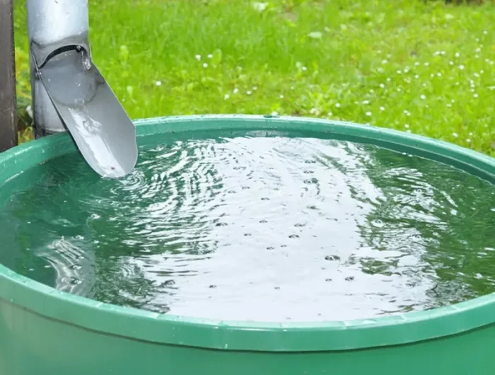 wie regenwasser effektiv sammeln und nutzen