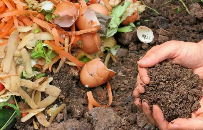 wie wirkt kompostbeschleuniger ist hefe gut fuer kompost komposterde im hand halten