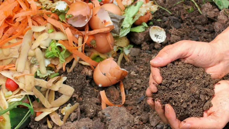 wie wirkt kompostbeschleuniger ist hefe gut fuer kompost komposterde im hand halten