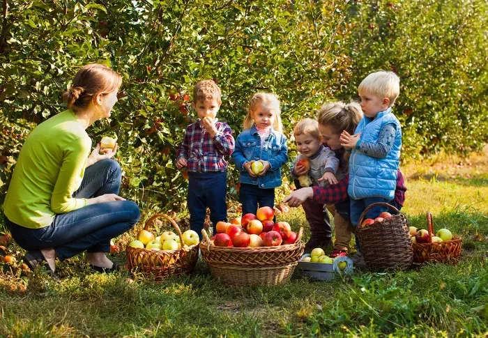 äpfel pflücken mit kindern tolle aktivitäten im freien