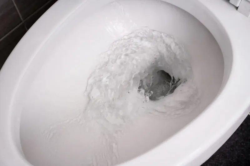 entkalker fuer toilette selber machen wc reinigen mit hausmitteln