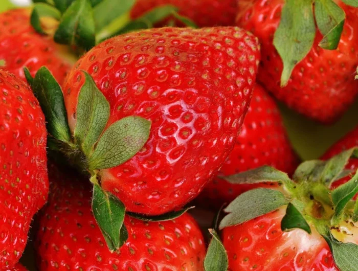 erdbeeren fruechte machen allergisch